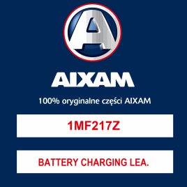 BATTERY CHARGING LEAD