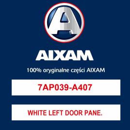 WHITE LEFT DOOR PANEL